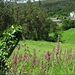2008 Santiago  446