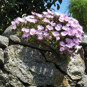 2008 Santiago  453