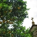 2008 Santiago  461