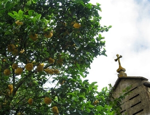 2008 Santiago  461