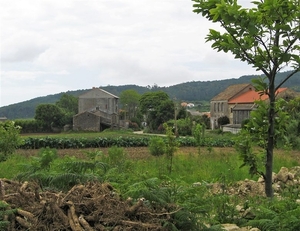 2008 Santiago  481