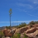 D2%2520-%2520test%2520-210