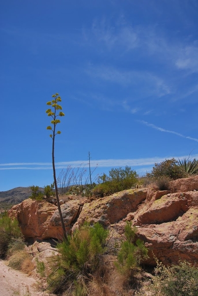 D2%2520-%2520test%2520-210