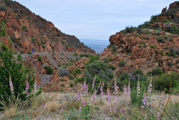 D3%2520-%2520test%2520-193