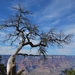 D4%2520-%2520test-218