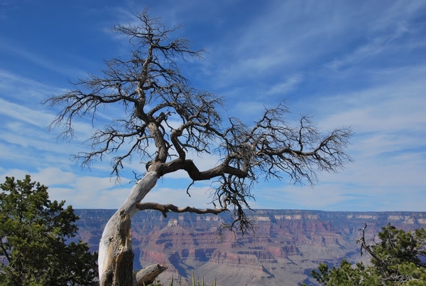 D4%2520-%2520test-218