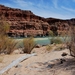 Colorado River