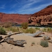 D5%2520-%2520test%2520-119