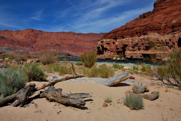 D5%2520-%2520test%2520-119