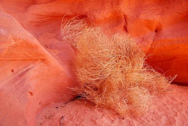 D6%2520-%2520test-71