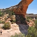 Natural Bridges