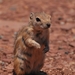D7%2520-%2520test-152
