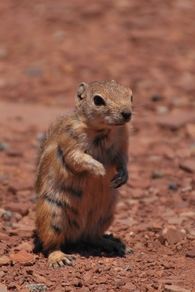 D7%2520-%2520test-152