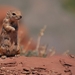 D7%2520-%2520test-156