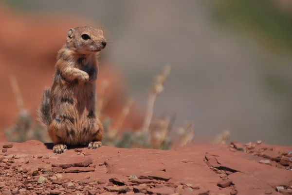 D7%2520-%2520test-156