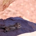 D7%2520-%2520test-167