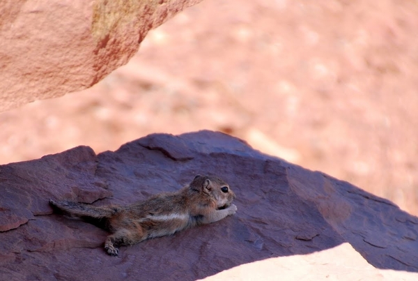 D7%2520-%2520test-167