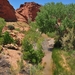 Brice Canyon