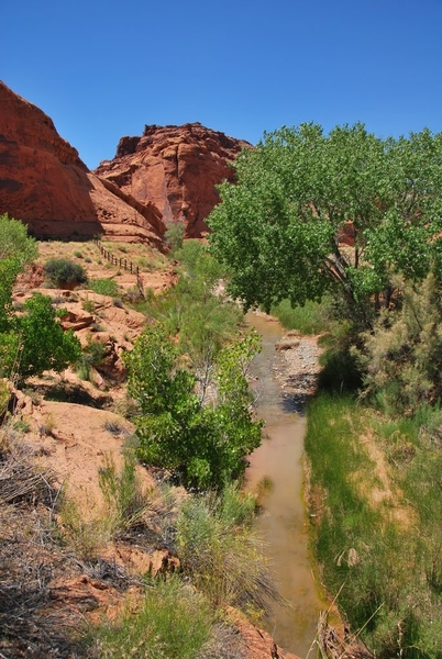 Brice Canyon