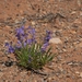 D7%2520-%2520test-73
