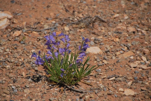 D7%2520-%2520test-73