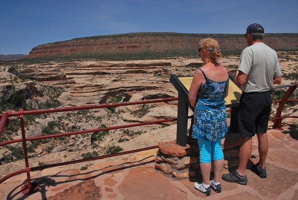 D7%2520-%2520test-80