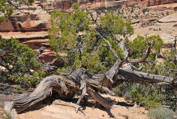 D7%2520-%2520test-87