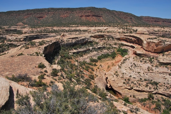 D7%2520-%2520test-93