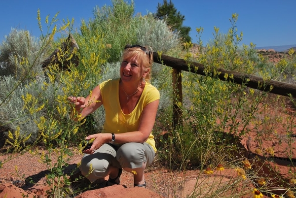 D8%2520-%2520test-103