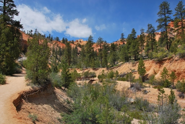 D8%2520-%2520test-130