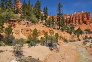 Bryce