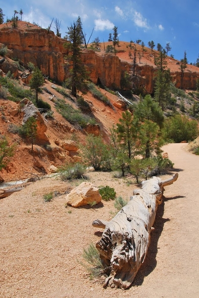 D8%2520-%2520test-146