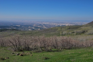 D8%2520-%2520test-44