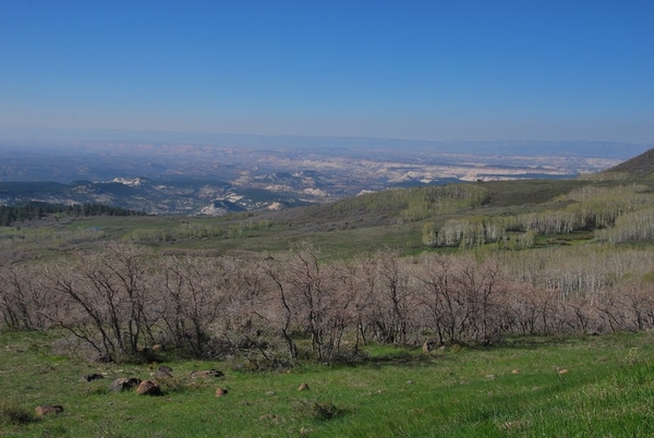 D8%2520-%2520test-44