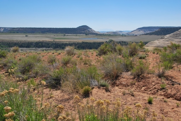 D8%2520-%2520test-74