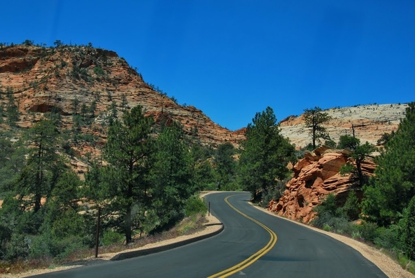 D9%2520-%2520test-113