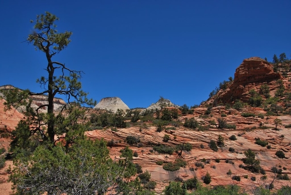 D9%2520-%2520test-116