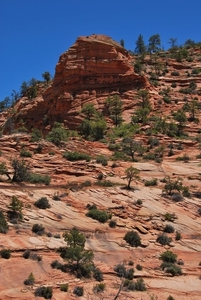 D9%2520-%2520test-117