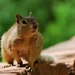 D9%2520-%2520test-177