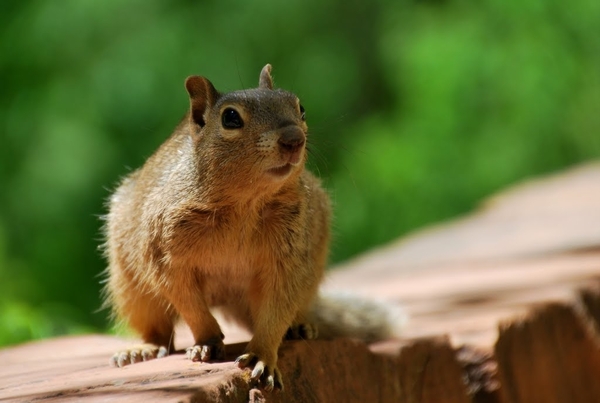 D9%2520-%2520test-177