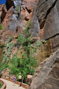 Zion