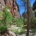 Zion
