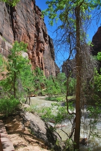 Zion