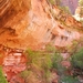 Emerald lake - Zion