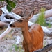 D9%2520-%2520test-256