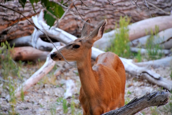 D9%2520-%2520test-256