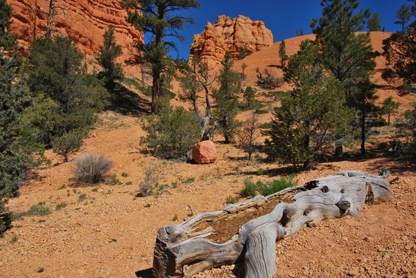 D9%2520-%2520test-31