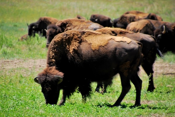 D9%2520-%2520test-62