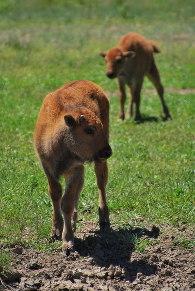 D9%2520-%2520test-63