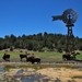 D9%2520-%2520test-81